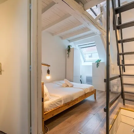 Dans Un Quartier Vivant Du Vieux-lille